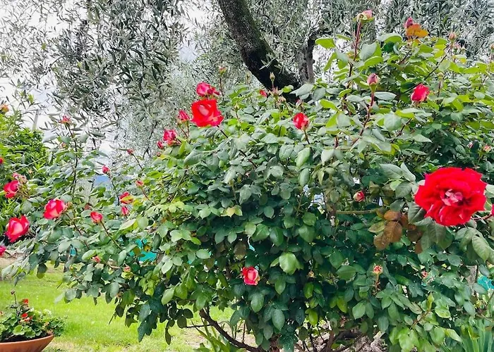 Appartement Casa Viktoria